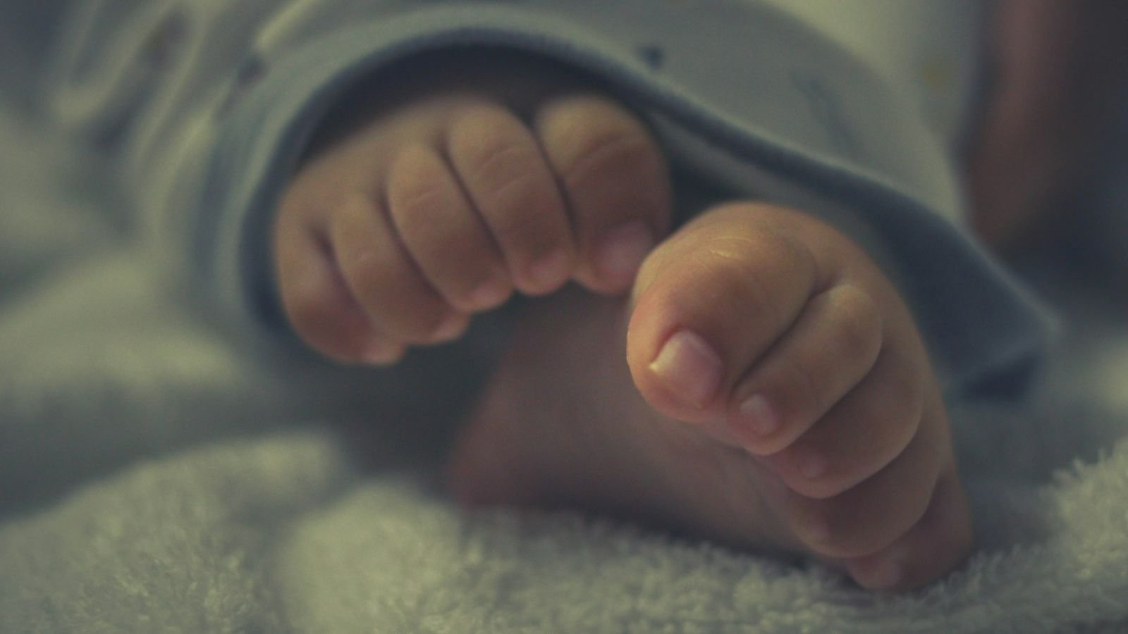 Inglaterra e País de Gales registram mais de 270 mil abortos, maior número já registrado