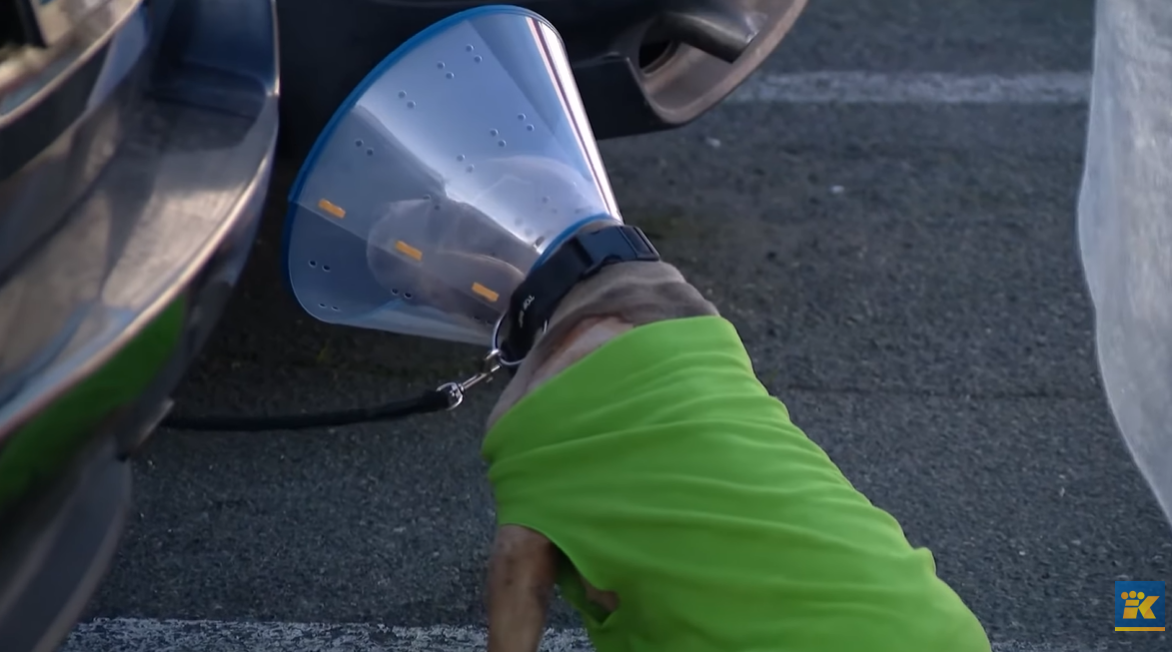 Homem é esfaqueado em Washington após dizer que é cristão